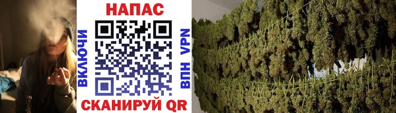Сколько стоит Шагонар MEGA ссылка  Мефедрон  Cocaine 