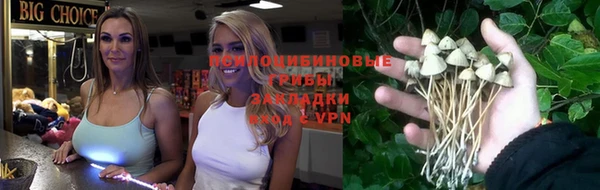 крисы Вяземский