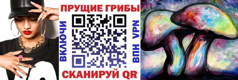 сколько стоит  блэк спрут зеркало  Псилоцибиновые грибы MAGIC MUSHROOMS  Шагонар 