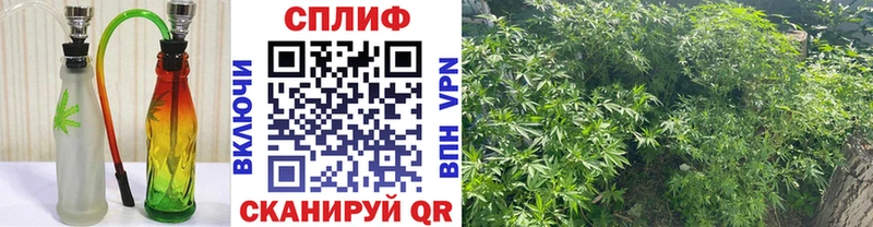 Бошки Шишки OG Kush  Шагонар 